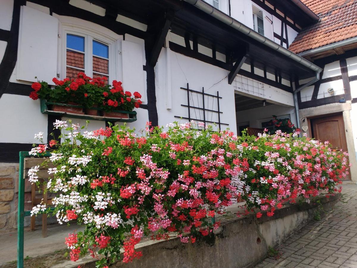 Chambres D'Hotes Sabine Billmann Hunspach Dış mekan fotoğraf